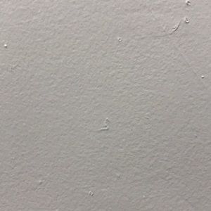 Meet your Posher, Lerone